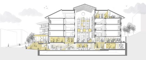 PHENIX coupe pers 1 avec vie web