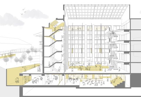 PHENIX coupe pers 2 avec vie web