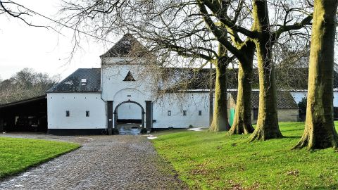 SARTAGE 42616135Master web